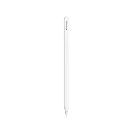iPad iPad