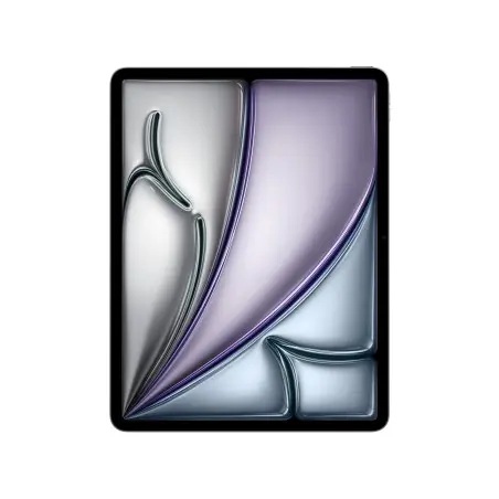 iPad iPad